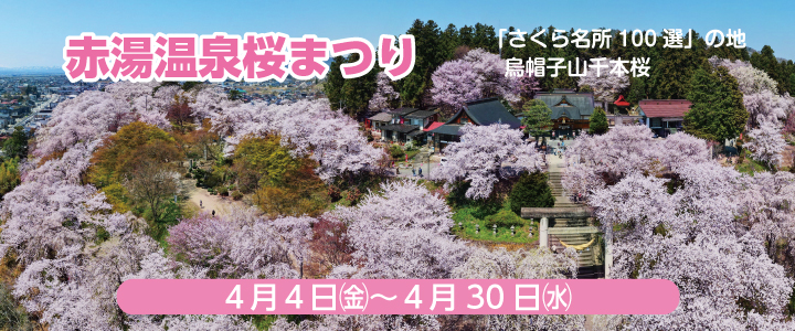 赤湯温泉桜まつり2025