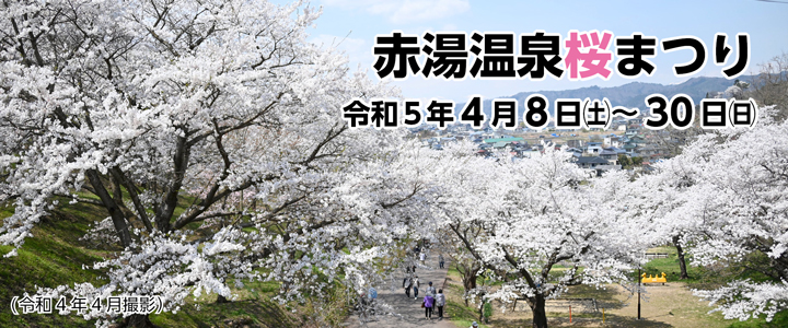赤湯温泉桜まつり