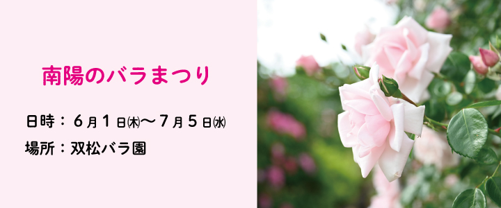 南陽のばらまつり