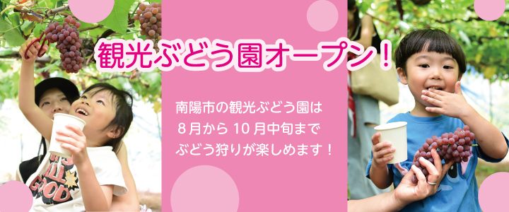観光ぶどう園オープン