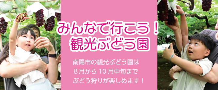 観光ぶどう園オープン