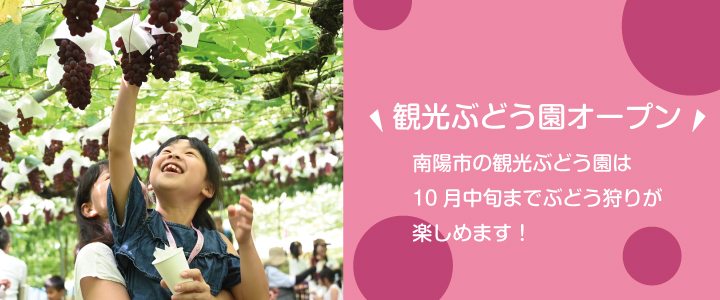 観光ぶどう園