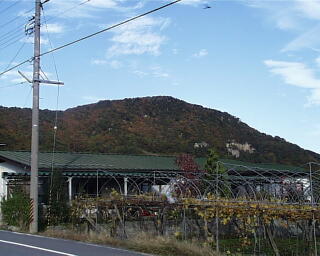 岩部山の頂上に館跡が残ります。