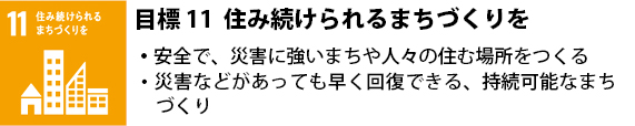 11 住み続けられるまちづくりを