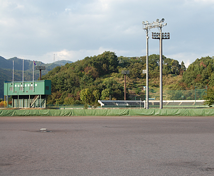 南陽市向山球場